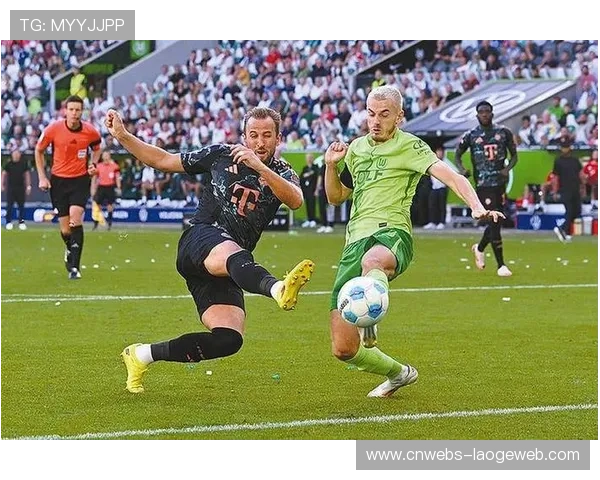 足球与气候博弈：德甲场馆加热系统技术升级调查